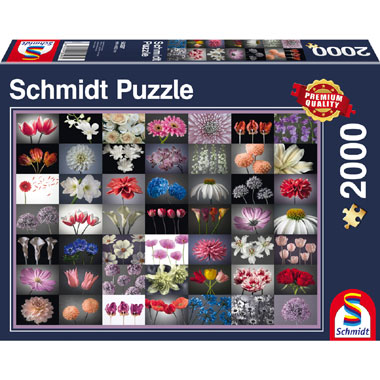 puzzel greetings Schmidt
